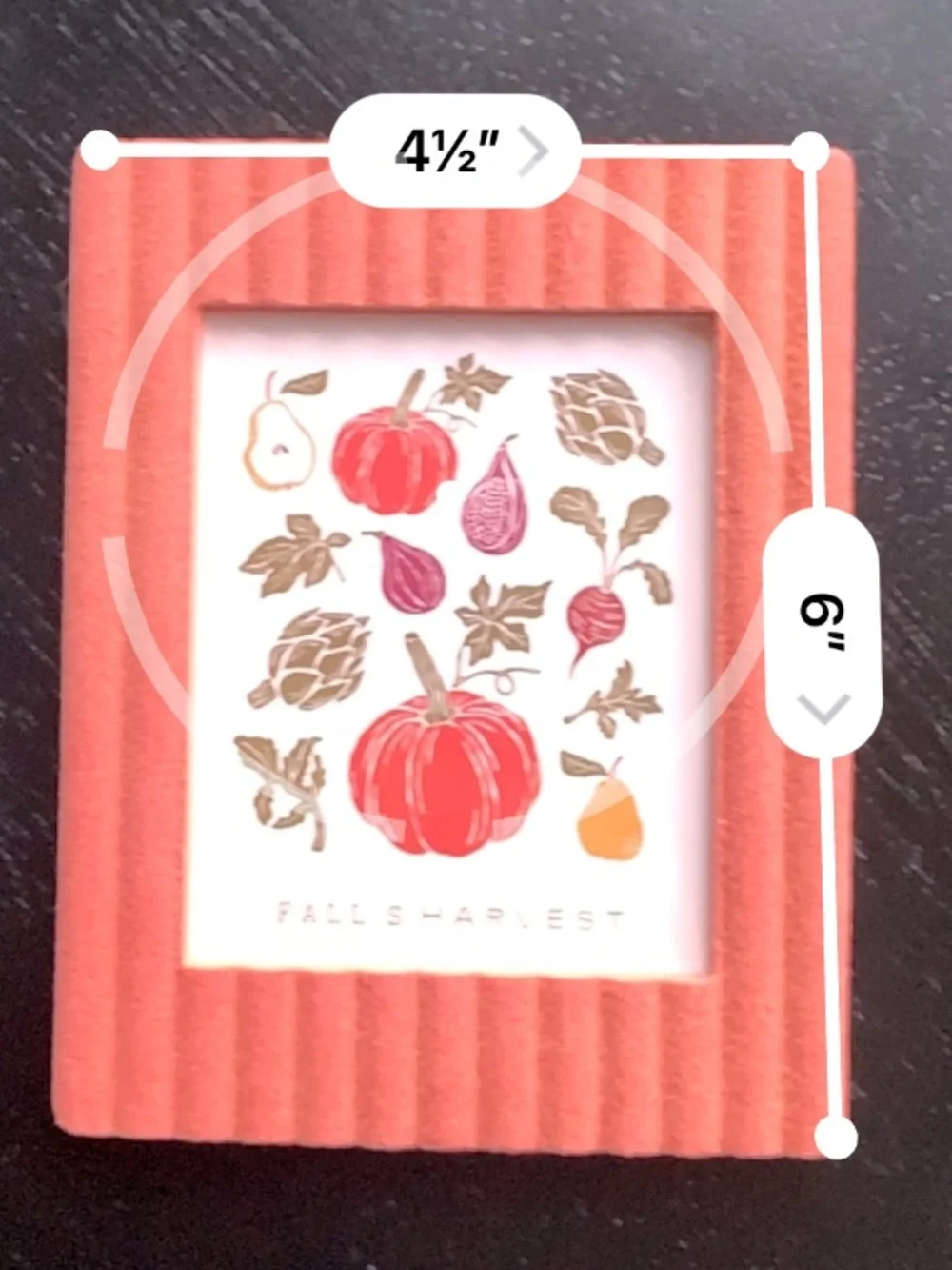 Coral Ridged Velvet Photo Frame Fall Decor